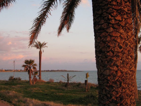 vinter resa 2009-2010 016.jpg