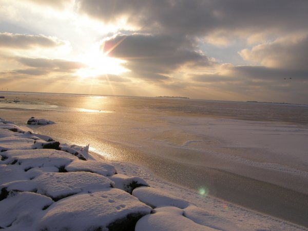 Tosteberga hamn 100123 043.jpg