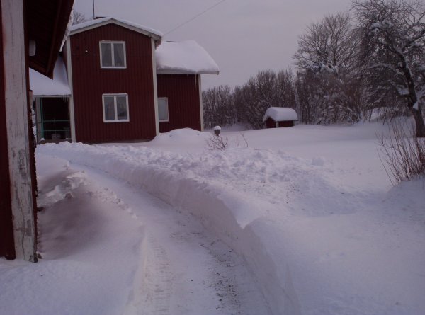 vinter jan 2010 001.jpg