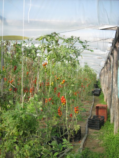 vinter resa 2009-2010 009.jpg