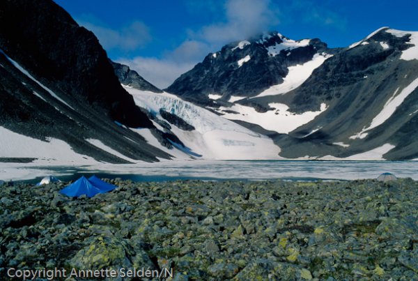 1993-07195.jpg 1993-07195.jpg