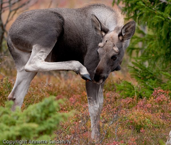 20090927.161-Edit.jpg 20090927.161-Edit.jpg