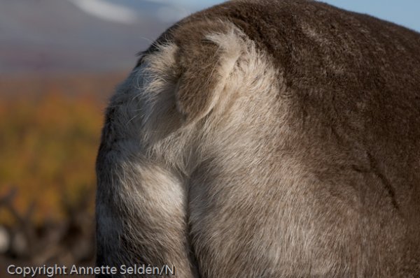 2008 09 13-330.jpg 2008 09 13-330.jpg