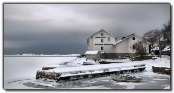 aP2050386.jpg aP2050386.jpg