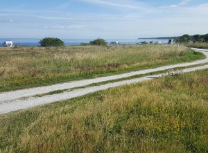 20200714_092117.jpg 20200714_092117.jpg