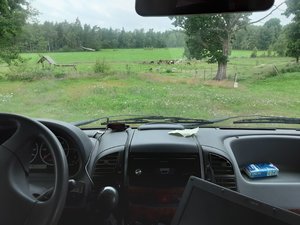 20200716_091521.jpg