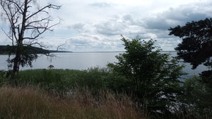 IMG_20200714_110137.jpg