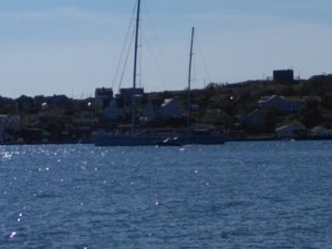 IMG_20200717_164509.jpg