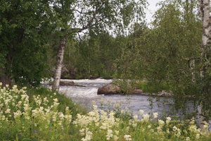 Kengis Haparanda 005.JPG Kengis Haparanda 005.JPG