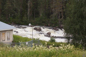 Kengis Haparanda 007.JPG Kengis Haparanda 007.JPG