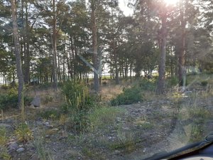 20200719_073022.jpg