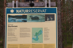 Storforsen nv Älsbyn 012.JPG