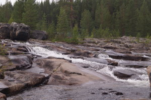 Storforsen 2 019.JPG