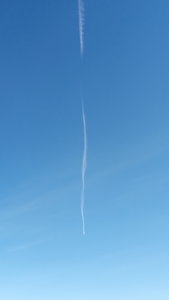 IMG_20200722_161051.jpg