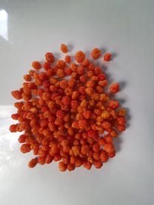 20200724_170056.jpg