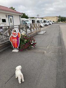 FD2938E4-B8DE-4AE7-9108-C6D4F90C8456.jpeg FD2938E4-B8DE-4AE7-9108-C6D4F90C8456.jpeg