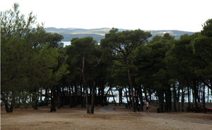 1595861565474.png 1595861565474.png