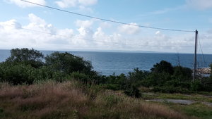 IMG_20200727_092100.jpg