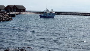 IMG_20200727_135042.jpg
