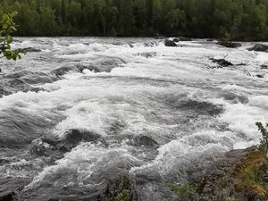 20200727_094350.jpg