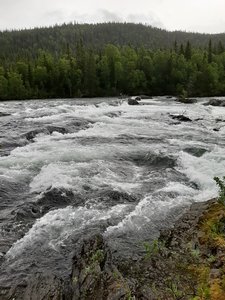 20200727_094333.jpg