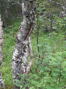 20200727_113717.jpg