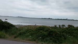 IMG_20200728_103038.jpg
