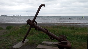 IMG_20200728_104131.jpg