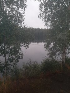 20200727_222241.jpg