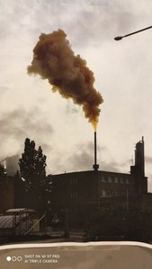 IMG_20200729_010638.jpg IMG_20200729_010638.jpg