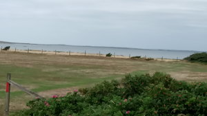 IMG_20200728_135040.jpg