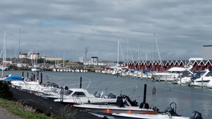 IMG_20200728_144639.jpg