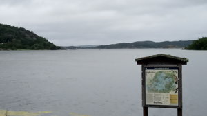 IMG_20200729_124049.jpg