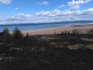 IMG_20200730_153128.jpg