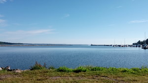 IMG_20200801_084910.jpg