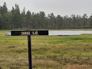 20200805_183333.jpg