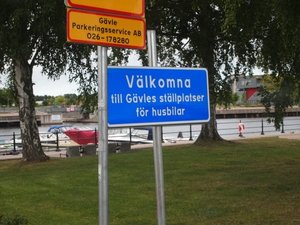 6C85679C-9D5D-4219-A257-8C36EAB7D332 (Medium).jpeg