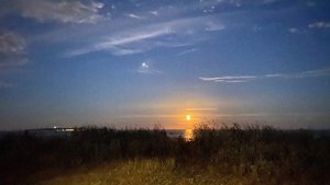 02BE7B3C-95E9-4ED6-92A9-DF8FA85EE6C8.jpeg