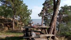 IMG_20200811_164928.jpg