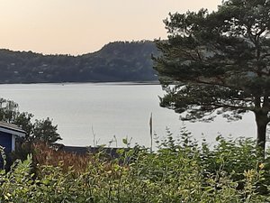 20200811_191456.jpg