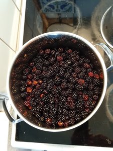 20200811_170320.jpg