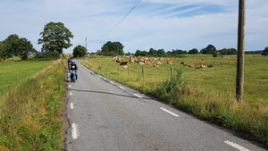 20200822_101942[1].jpg
