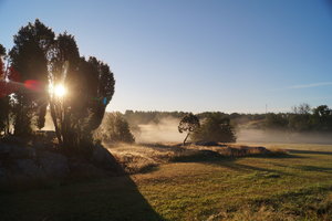 Tyresta 001.JPG