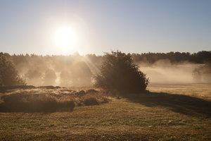 Tyresta 004.JPG