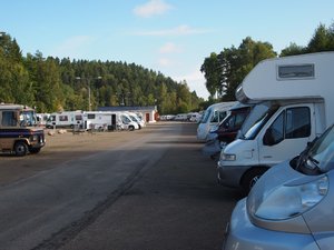 P8246675 (Medium).JPG P8246675 (Medium).JPG