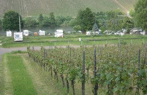 CIMG2145.JPG CIMG2145.JPG