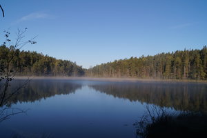 Tyresta 006.JPG