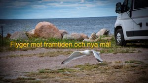 Husbilsplatser och lite annat