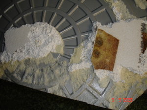 DSC00443.JPG DSC00443.JPG