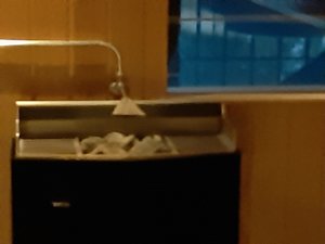 20200908_063928.jpg